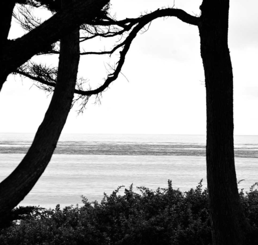 calm, abstract, water, black and white, California, ocean, tees, nature